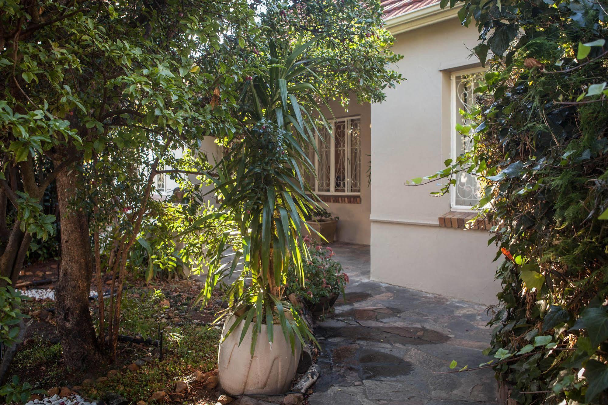 The Lions Guest House Fokváros Kültér fotó
